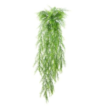 Springeri hanging bush x 14