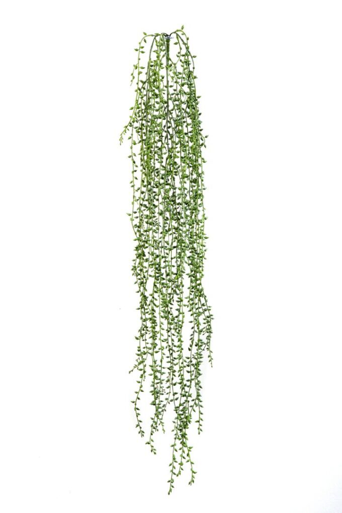 String of small pearls