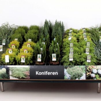 Tafelconcept Basisassortiment