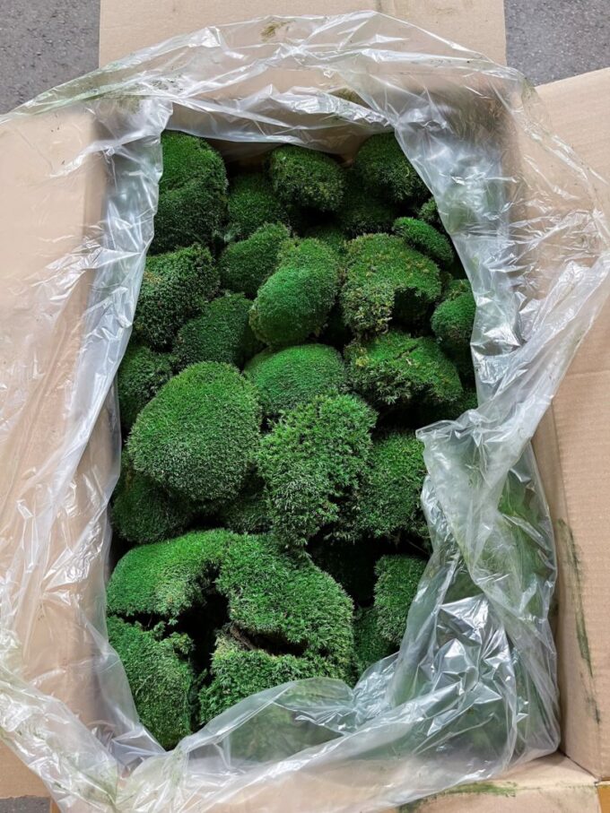 Bolmoss (2 layers) 3kg 0,75 m2