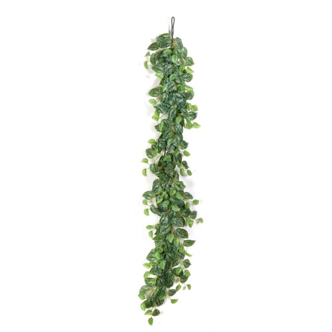 Scindapsus garland