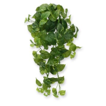 Scindapsus kunst hangplant  - RT