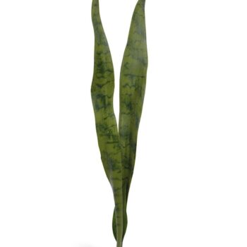 Sanseveria kunstplant  steker