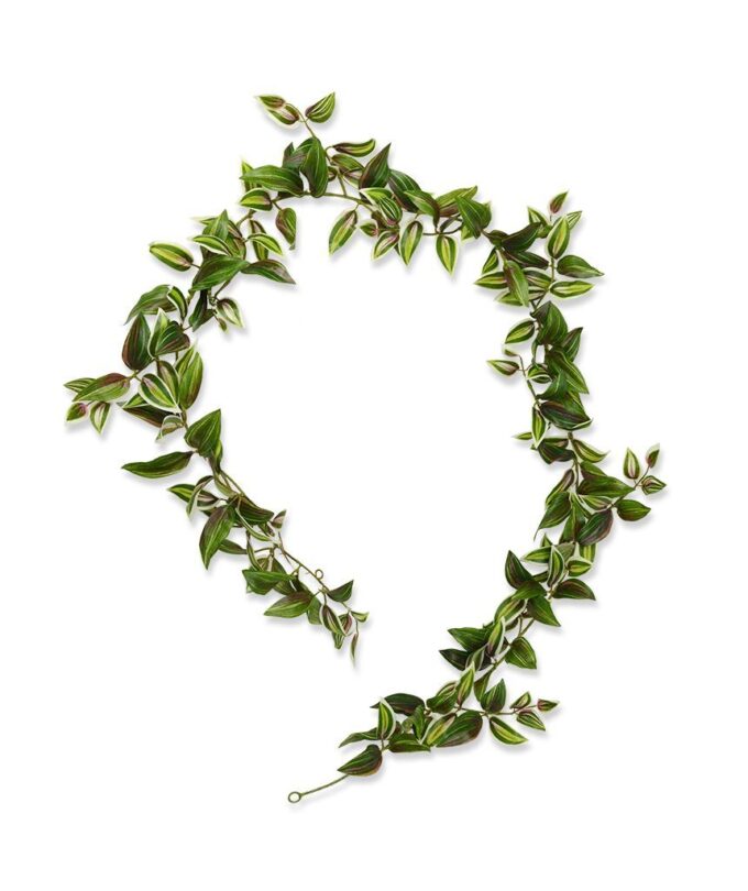 Tradescantia kunst Guirlande  - bont