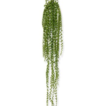 Senecio Pearl kunst hangplant