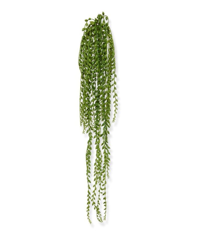 Senecio Pearl kunst hangplant