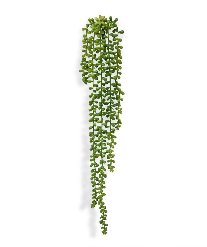 Senecio Pearl kunst hangplant