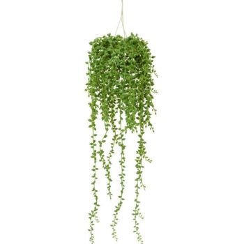 Senecio kunst hangplant
