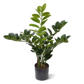 Zamioculcas kunstplant