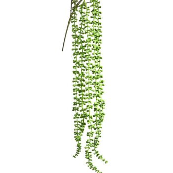 Senecio kunsttak  groen