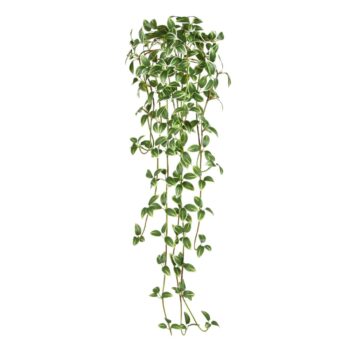 Tradescantia kunst hanger  - bont