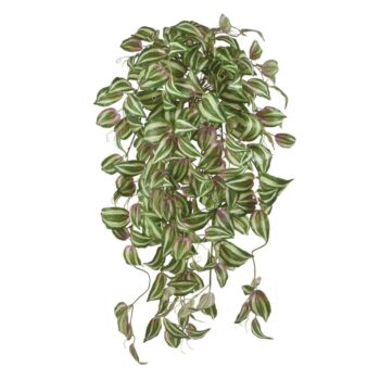 Tradescantia Tricolor kunst hangplant
