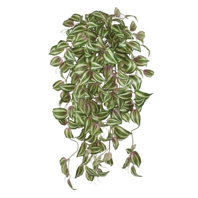 Tradescantia Tricolor kunst hangplant