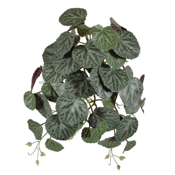 Saxifraga kunst hangplant  - groen/rood