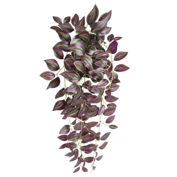 Tradescantia Zebrina kunsthanger