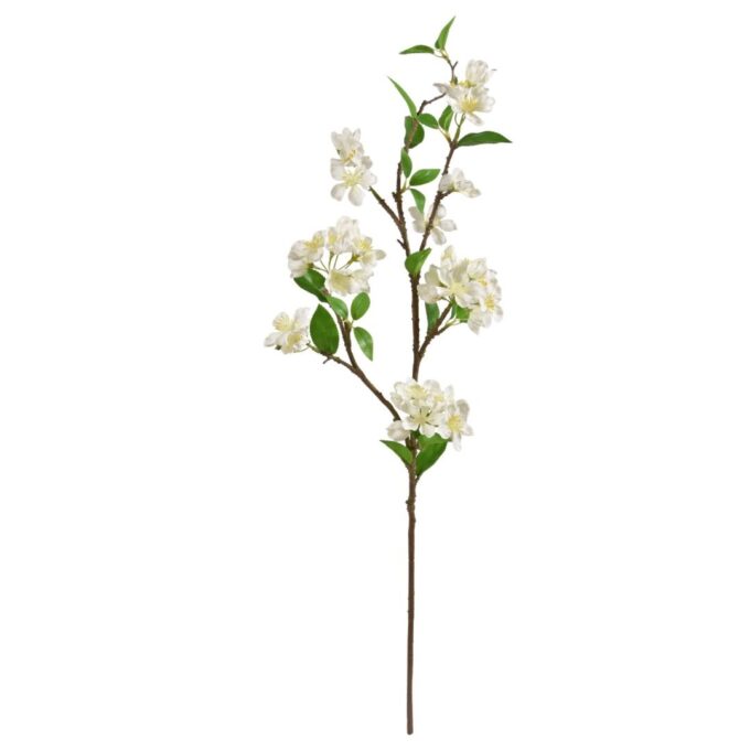 Appel Bloesemtak deluxe  Creme