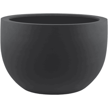 Stretto New Egg Pot Low 125