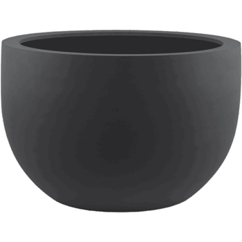 Stretto New Egg Pot Low 110