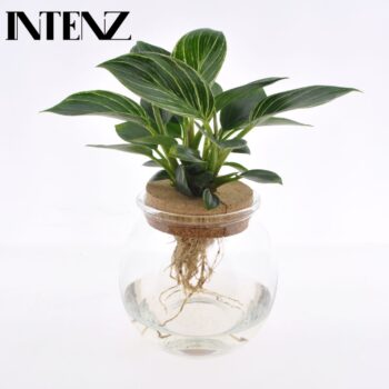 White Wave in Ball glass + click cork - delivery time: 24 hours