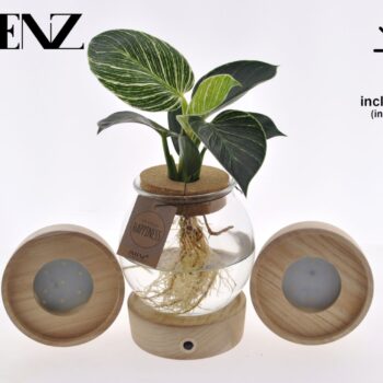 White Wave in Spherical Glass + Snap Cork + LED - delivery time: 24 hours