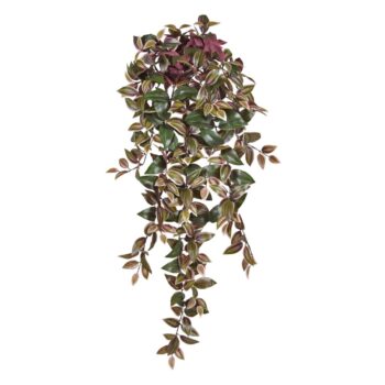 Tradescantia Kunsthangplantgroen/rood