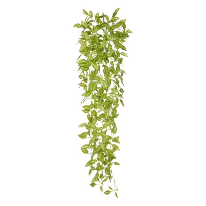 Tradescantia Kunsthangplant groen-bont