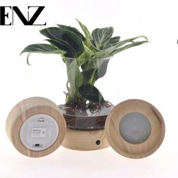 White Wave in Kingston glass + LED - delivery time: 24 hours