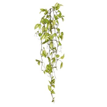 Tradescantia Kunsthangtak groen-bont