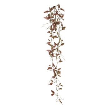 Tradescantia Kunsthangtak paars