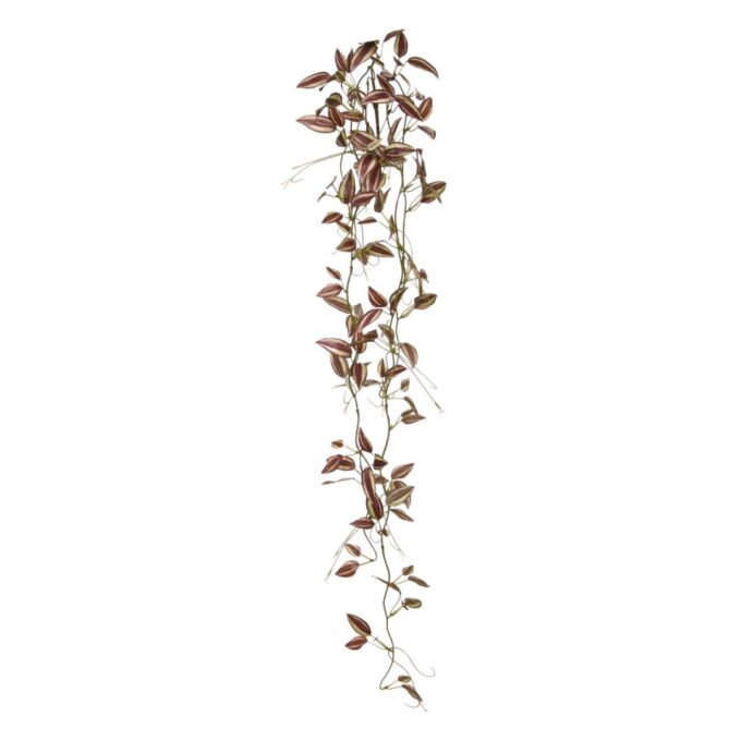 Tradescantia Kunsthangtak paars