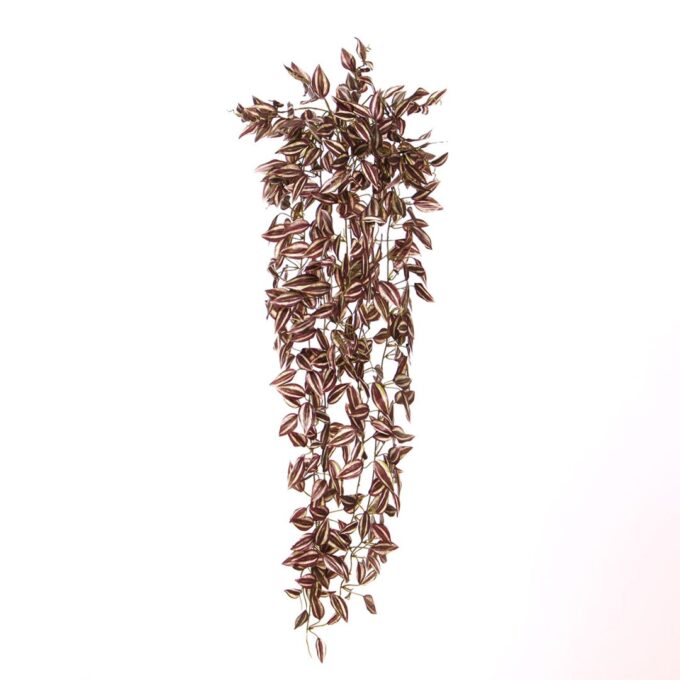 Tradescantia Kunsthangplant paars