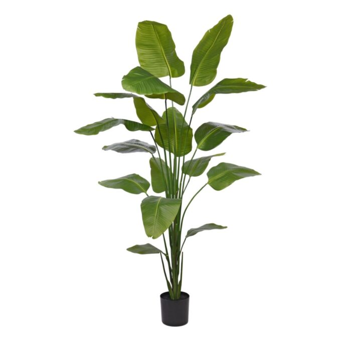 Strelitzia Nicolai kunstplant