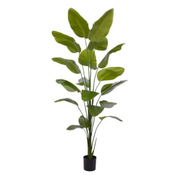 Strelitzia Nicolai kunstplant