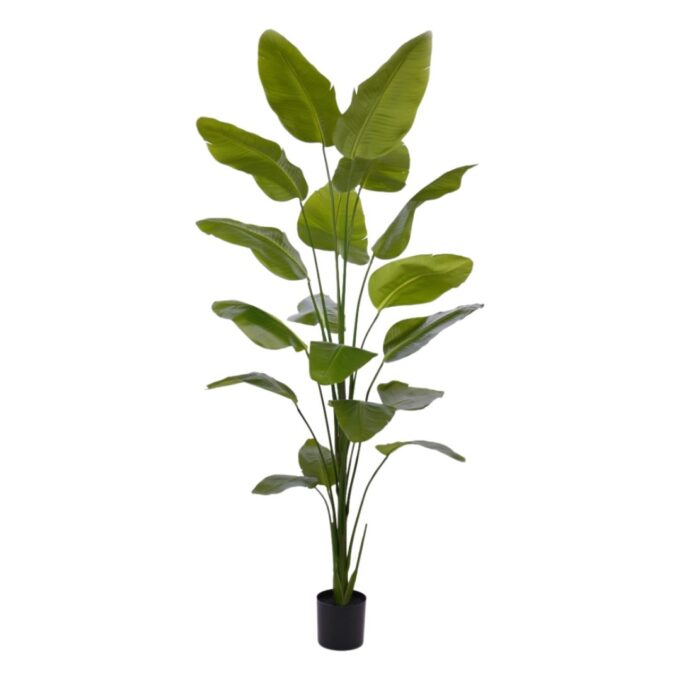 Strelitzia Nicolai kunstplant