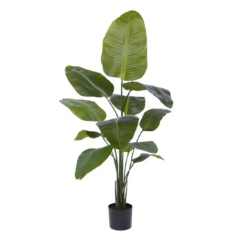 Strelitzia Nicolai kunstplant