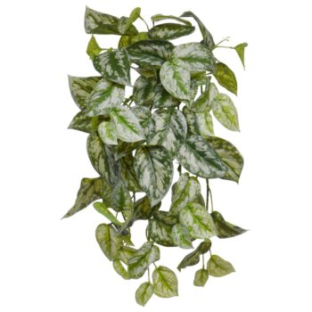 Scindapsus Pictus kunst hangplant Deluxe
