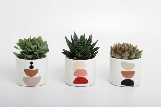succulenten mix in Maan keramiek