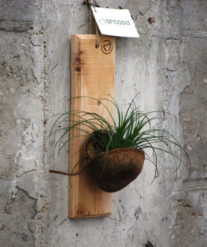 Wallart Bunti