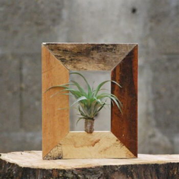 Wood Frame Tilly plus