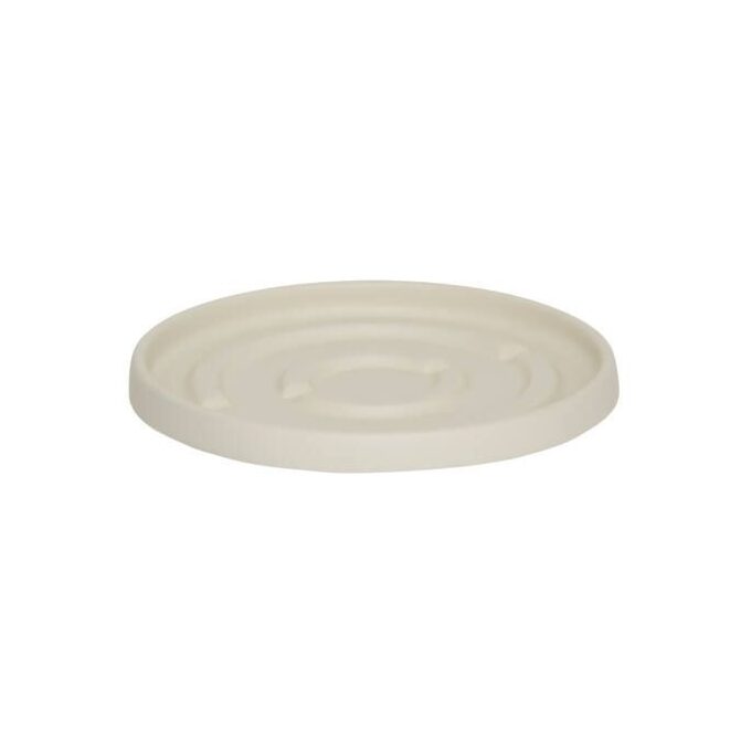 Saucer Round 32