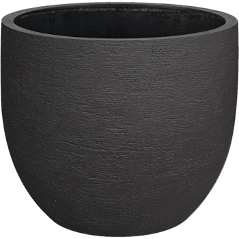 Terreno New Egg Pot 80