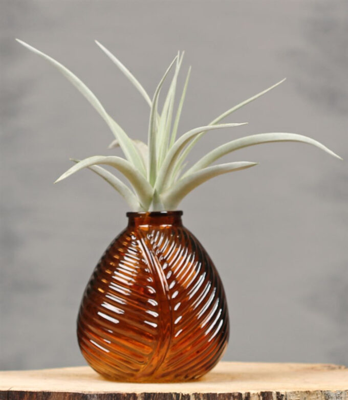Vase Leaf S