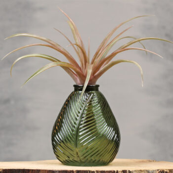 Vase Leaf M