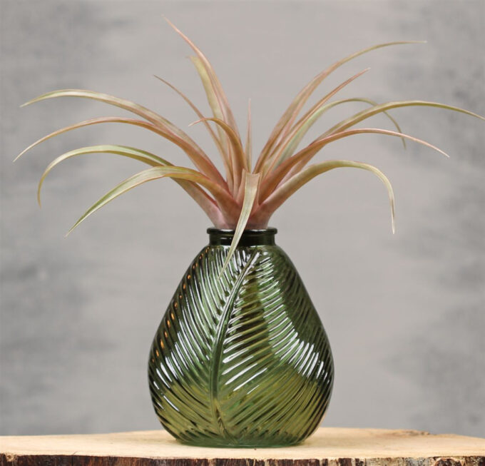 Vase Leaf M