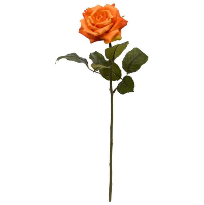 Kunst Rozentak Classic  Oranje
