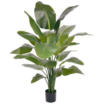 Strelitzia Nicolai XL Kunstpalm
