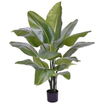 Strelitzia Nicolai XL Kunstpalm