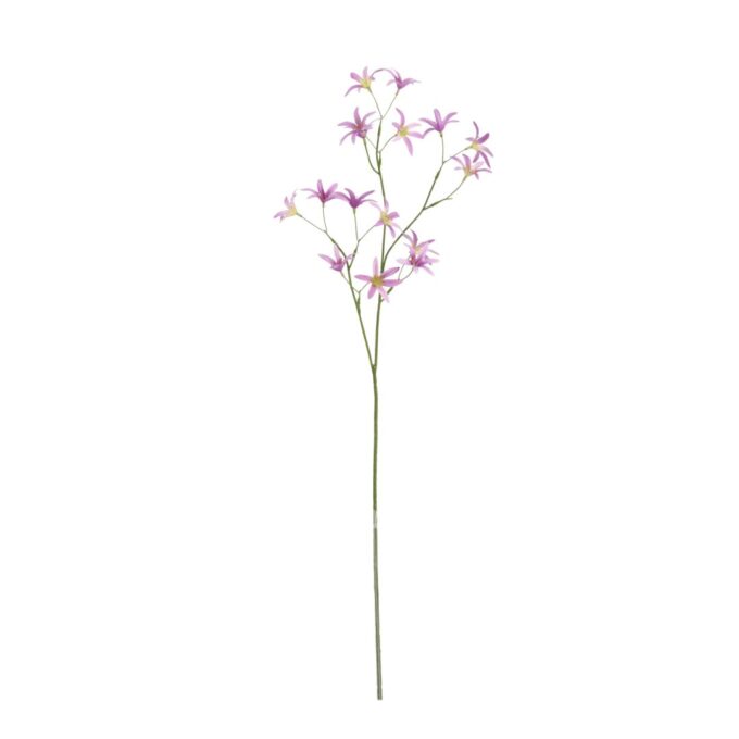 Tweedia Oxypetalum Kunsttak  Lila