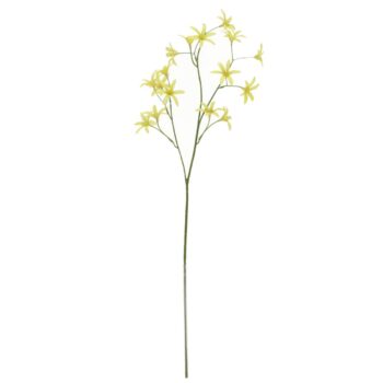 Tweedia Oxypetalum Kunsttak  Groen