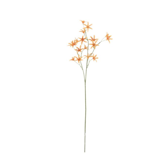 Tweedia Oxypetalum Kunsttak  Oranje